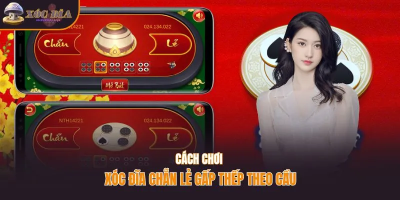 Cách chơi xóc đĩa chẵn lẻ gấp thếp theo cầu